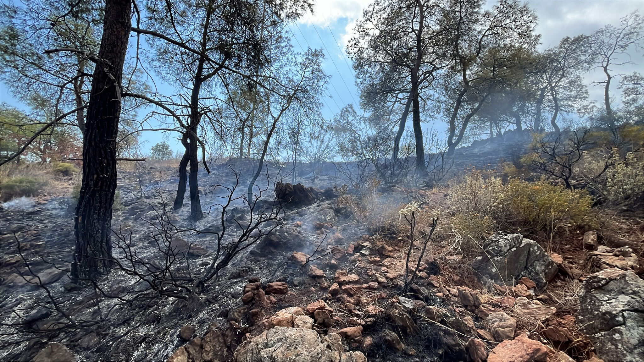 Antalya'da orman yangını büyümeden kontrol altına alındı