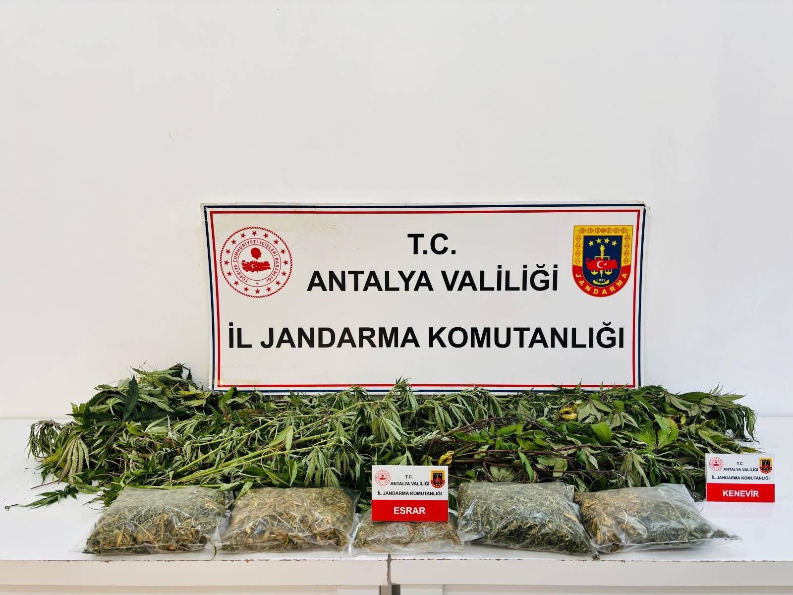 Asayiş