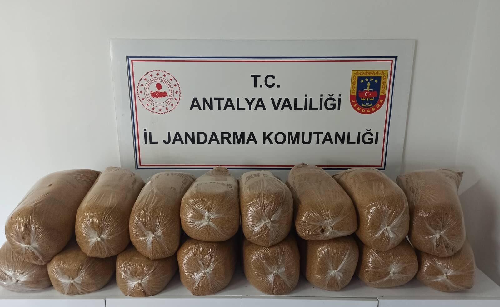 Asayiş