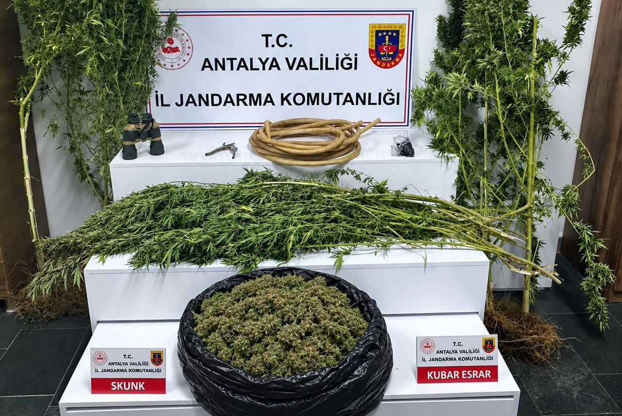 Alanya'da operasyon: 12.650 gram skunk ele geçirildi