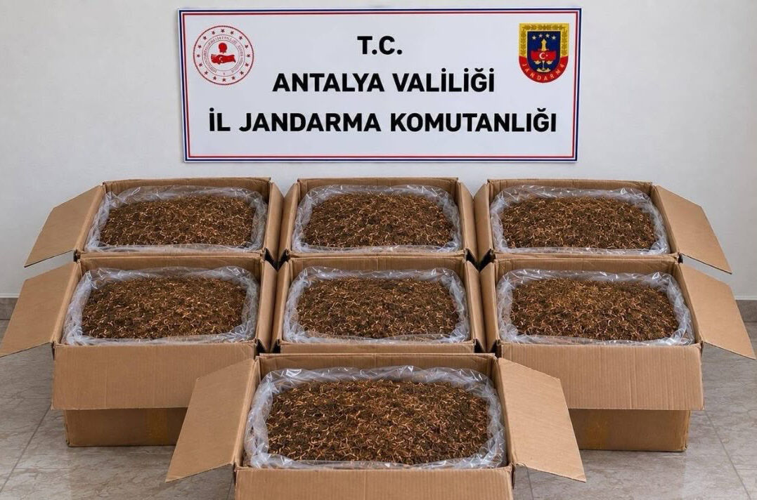 Asayiş