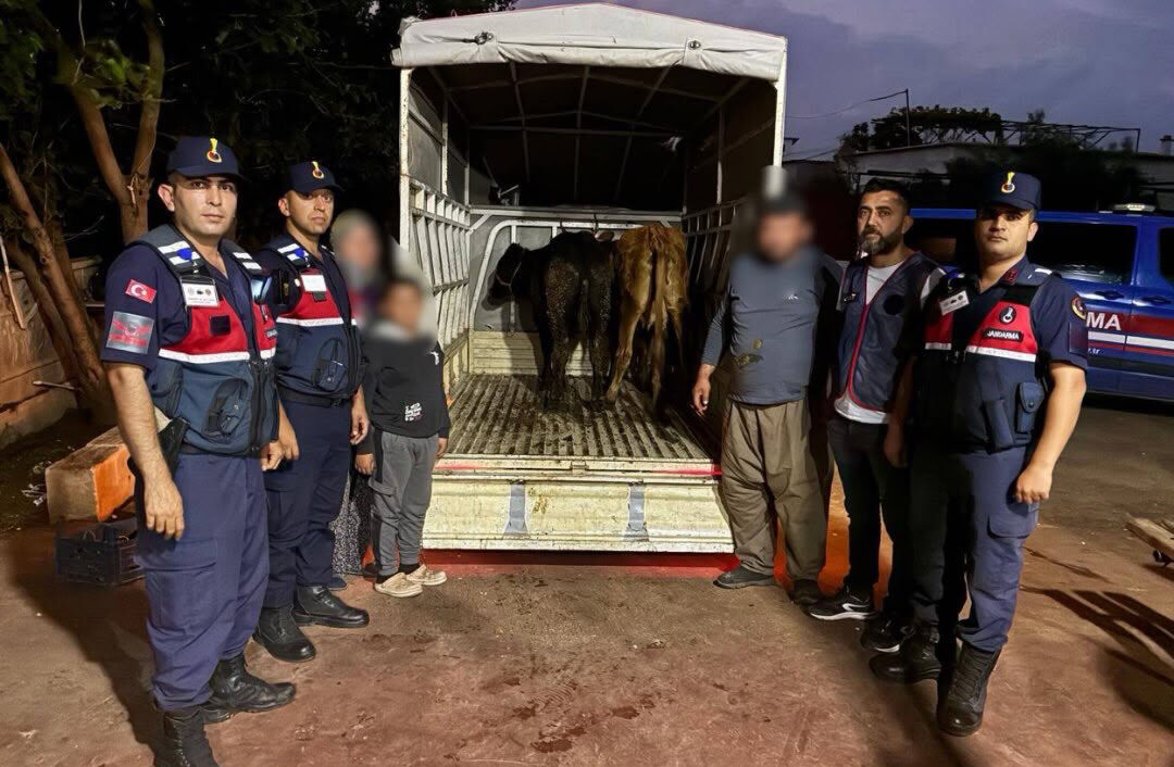 Antalya'da hayvan hırsızlığı olayı Jasat Ekiplerince aydınlatıldı