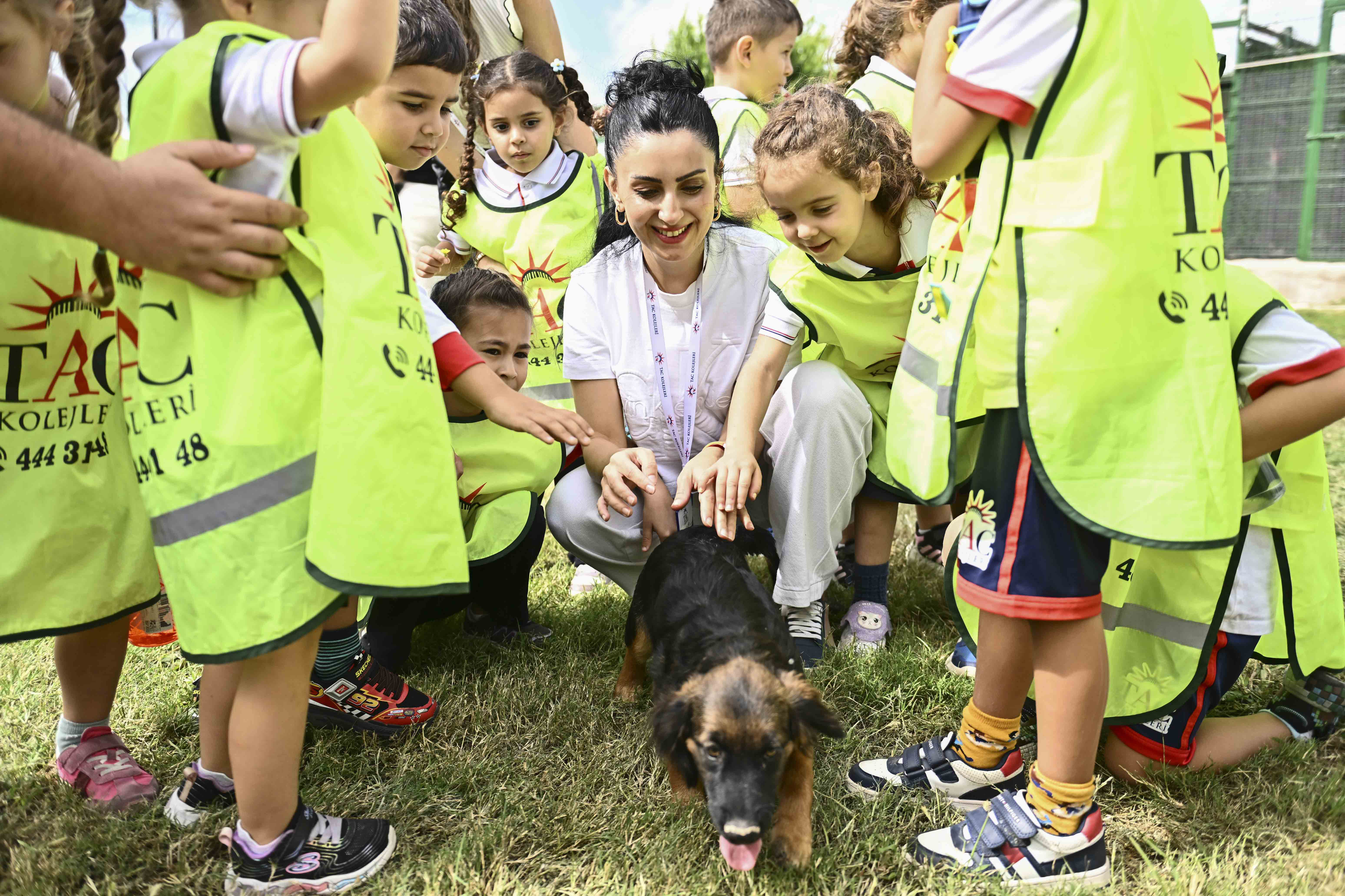 Muratpaşa'da 2026'da 287 can yeni yuvasına kavuştu